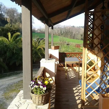 Armonia Della Sera B&B And Relax Porto SantʼElpidio Habitación foto
