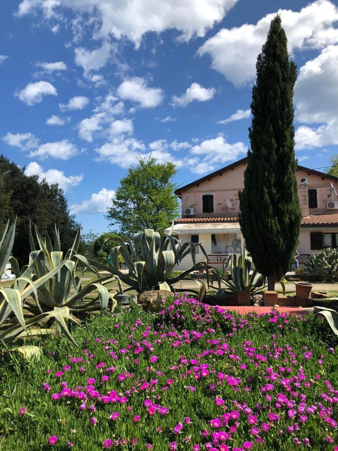 Armonia Della Sera - Residenza Di Campagna * Porto SantʼElpidio