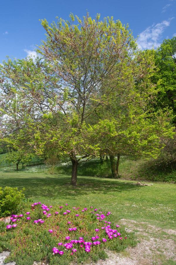 Armonia Della Sera - Residenza Di Campagna Porto SantʼElpidio