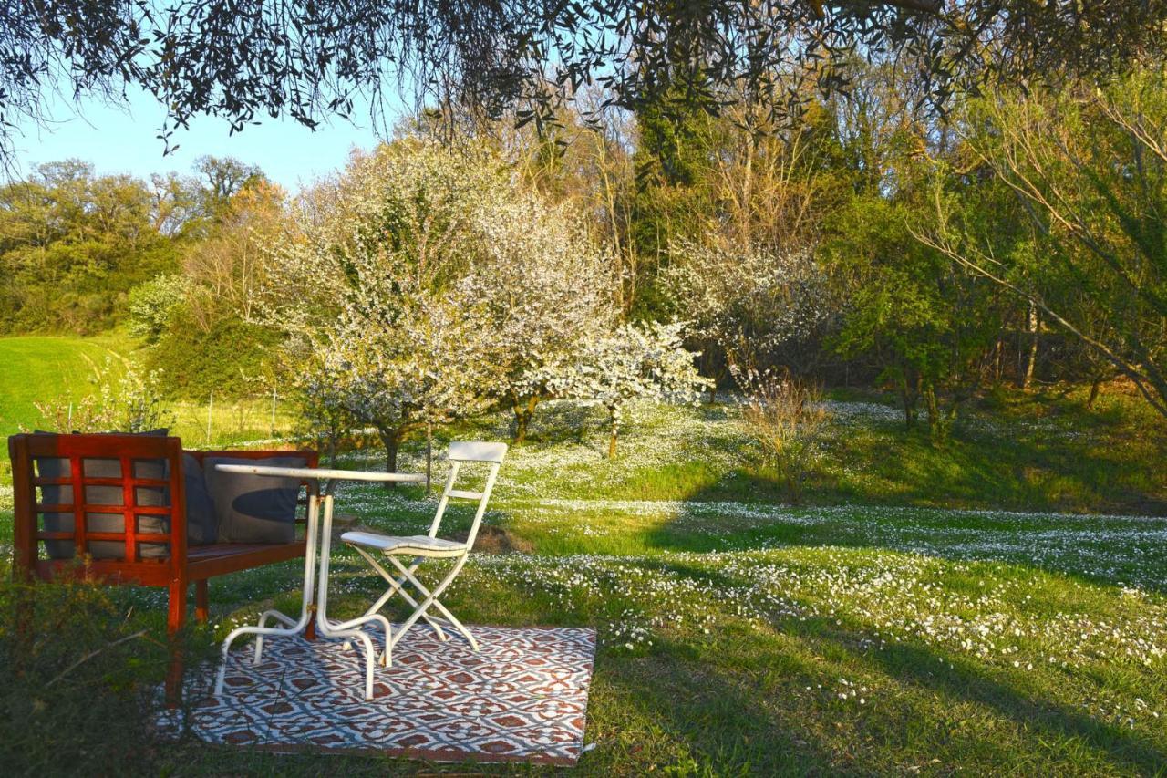 Armonia Della Sera - Residenza Di Campagna Bed & Breakfast